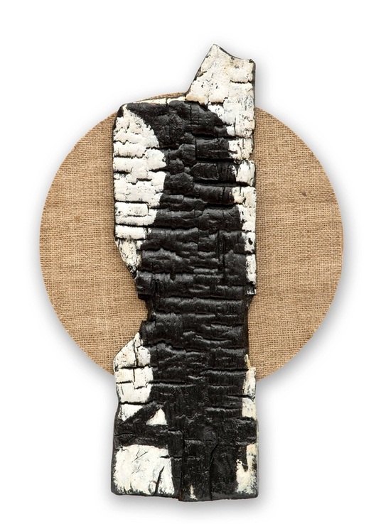 Barış Cihanoğlu  | Crow ​oil on burnt wood  | art,